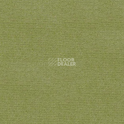 Ковролин Radici Abetone Verde 3138 фото 1 | FLOORDEALER